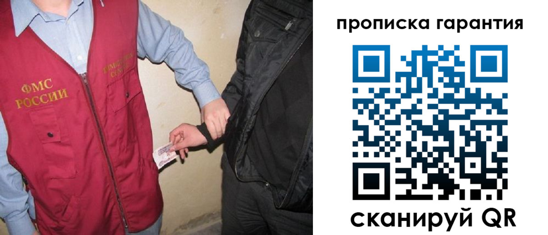 прописка для школы в Лосино-Петровском